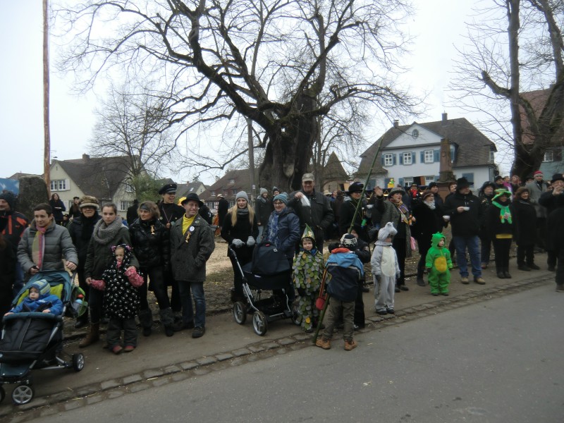 ../Images/2015-02-17_Grundele-Fasnachtsdienstig_016.jpg