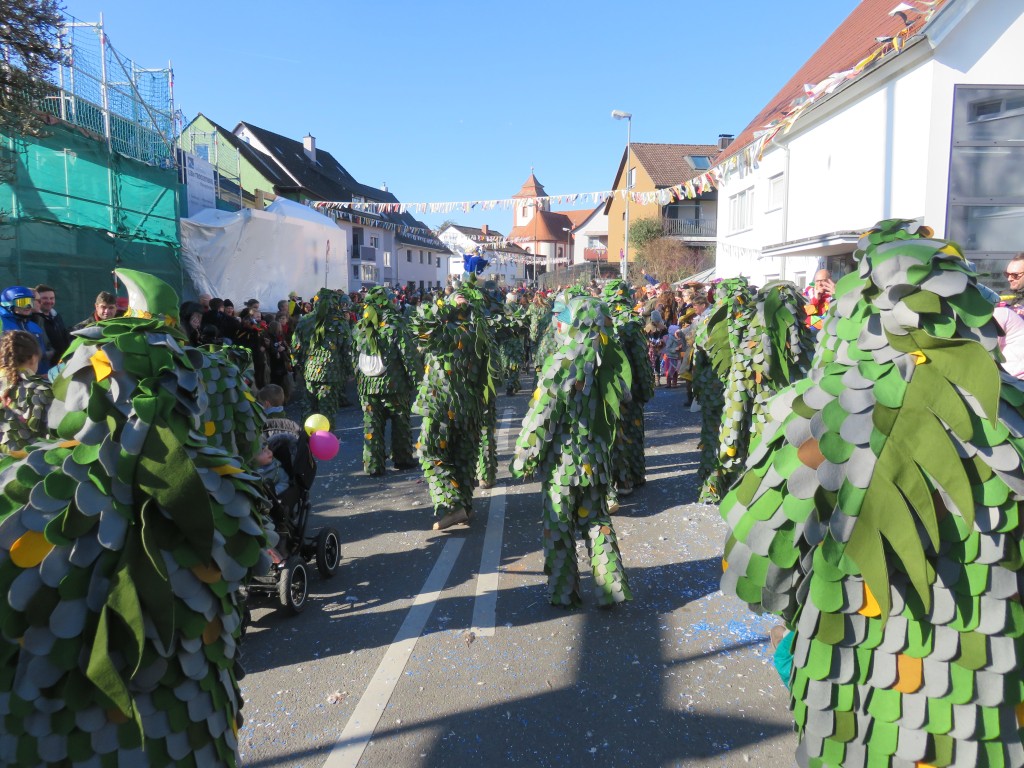 20230212_Seenarrentreffen-Dettingen_065.jpg