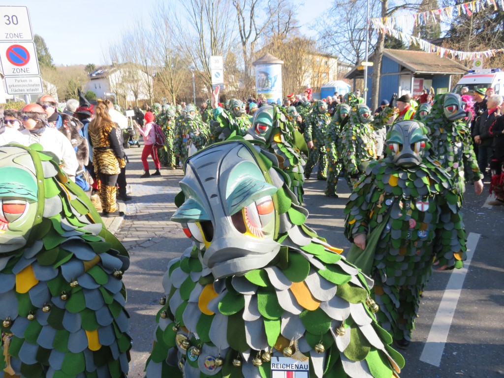 20230212_Seenarrentreffen-Dettingen_072.jpg