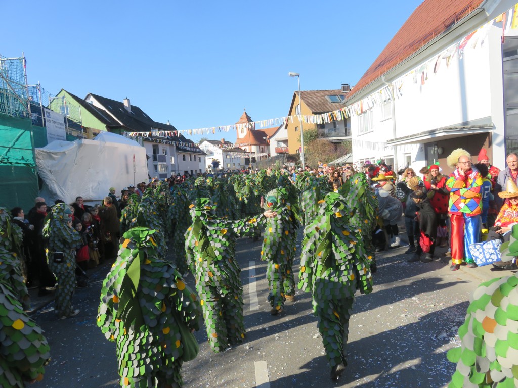 20230212_Seenarrentreffen-Dettingen_074.jpg