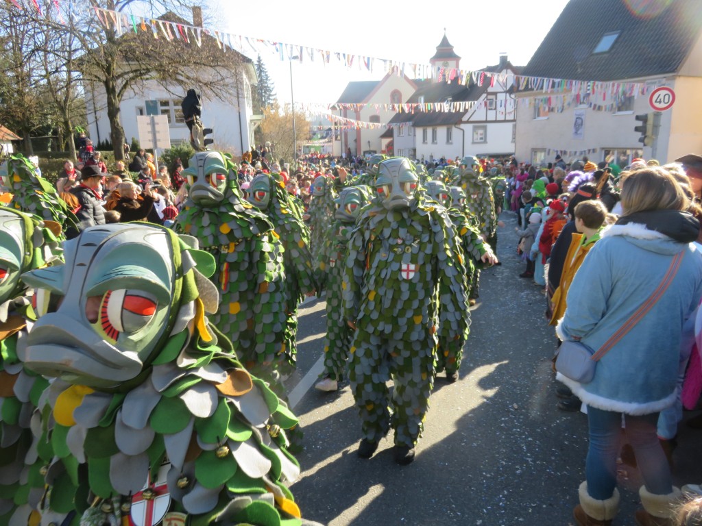 20230212_Seenarrentreffen-Dettingen_121.jpg