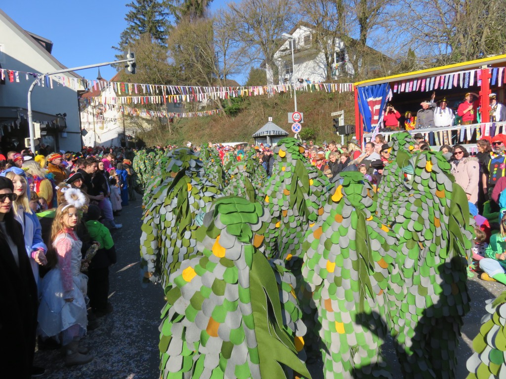 20230212_Seenarrentreffen-Dettingen_123.jpg