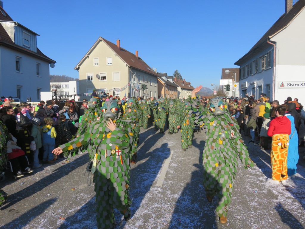2024-01-28_Narrentreffen-Gottmadingen_031.jpg