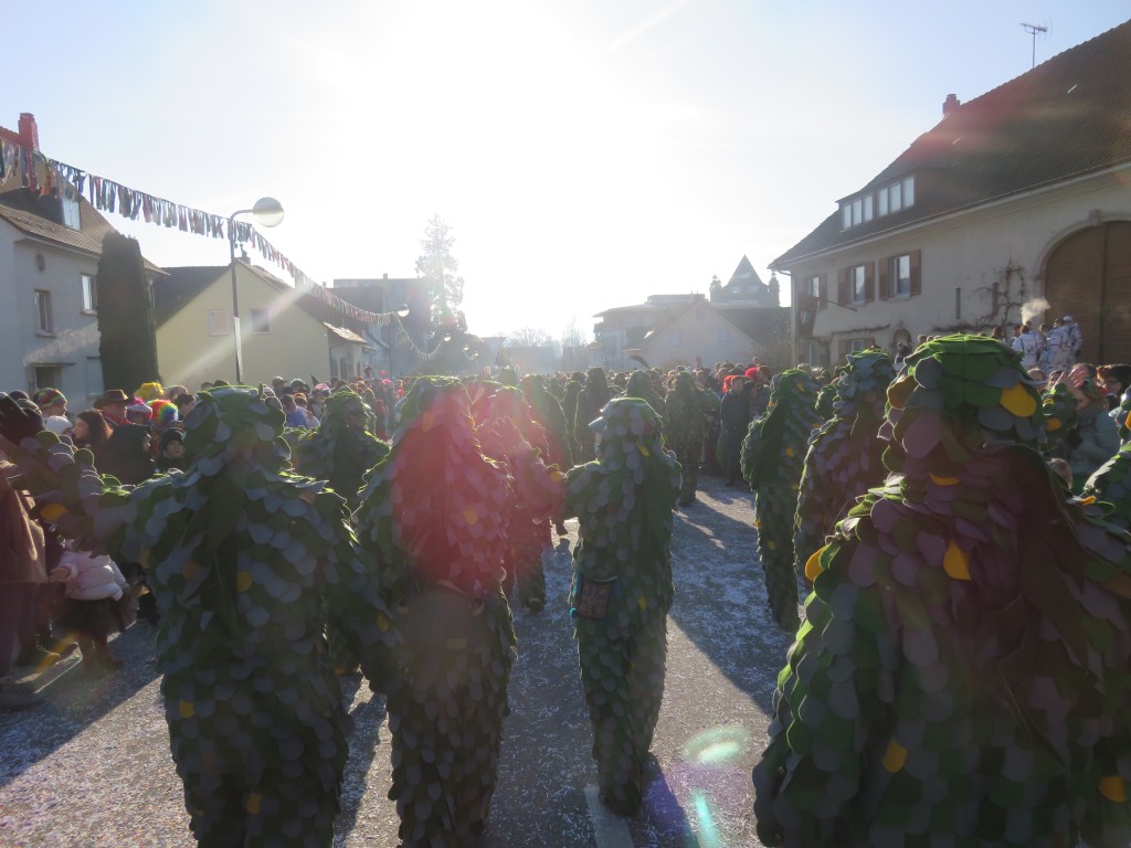 2024-01-28_Narrentreffen-Gottmadingen_043.jpg
