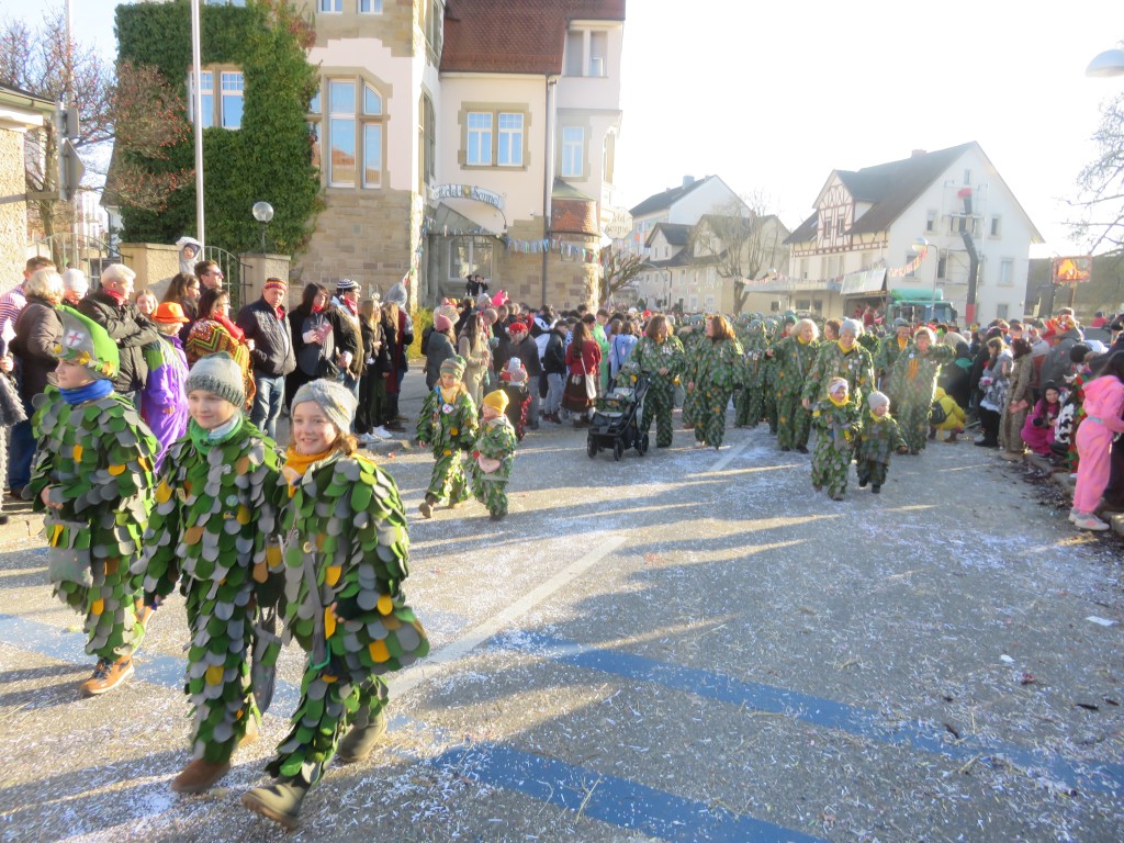 2024-01-28_Narrentreffen-Gottmadingen_073.jpg