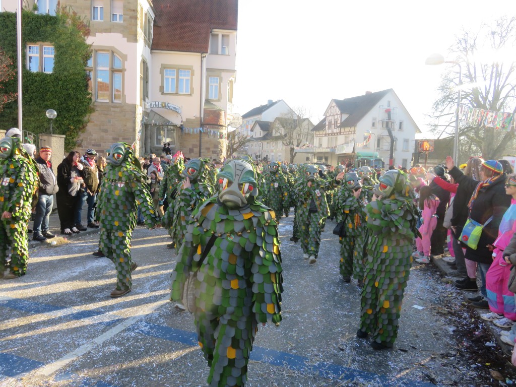 2024-01-28_Narrentreffen-Gottmadingen_075.jpg