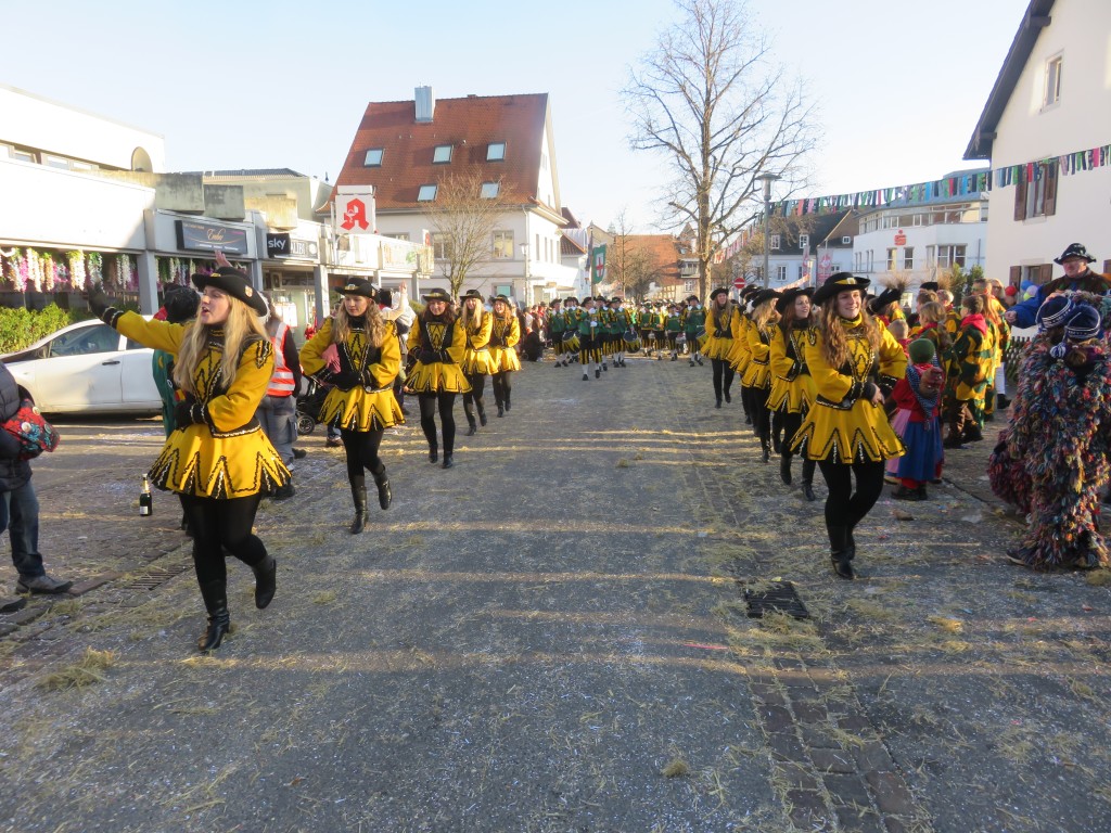 2024-01-28_Narrentreffen-Gottmadingen_078.jpg