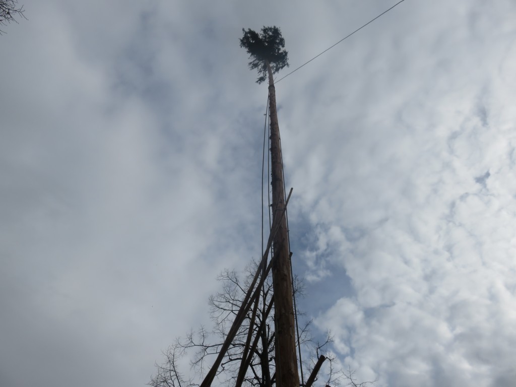 2024-02-08_Schmotzige-Dunnstig_218.jpg