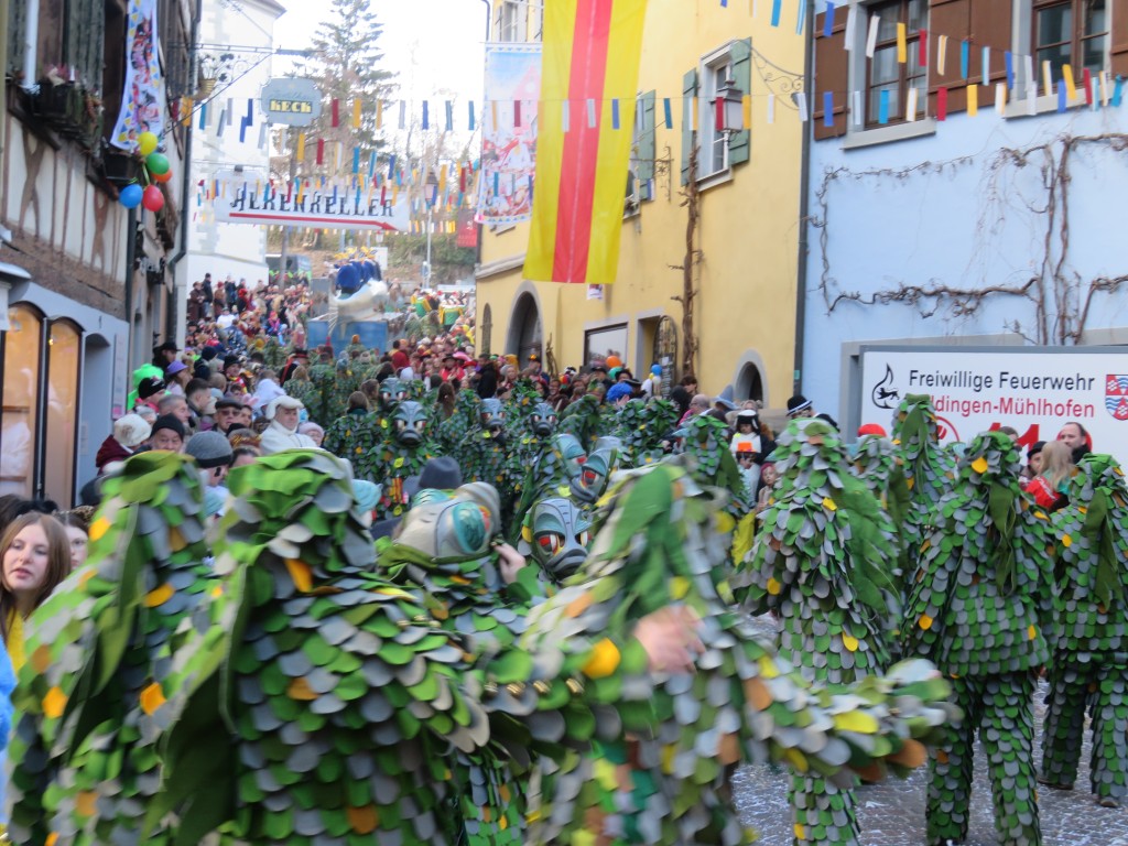 20260208_Umzug-Grundele-Meersburg_075.jpg